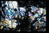 ap1503_06_06