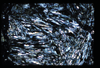 ap1503_06_07
