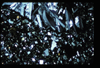 ap1503_07_02