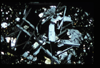ap1503_07_04