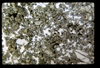 ap1503_07_11