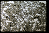 ap1503_07_18