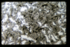 ap1503_07_20