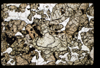 ap1503_08_06