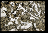 ap1503_08_08
