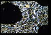 ap1503_08_19
