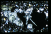 ap1503_09_02
