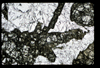 ap1503_09_03