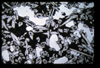 ap1503_09_05