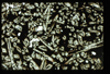 ap1503_09_13