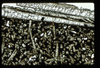 ap1503_09_15