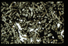 ap1503_09_17