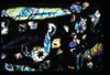 ap1504_01_02