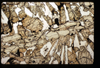 ap1504_01_06