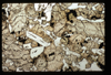 ap1504_01_10