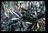 ap1504_01_13