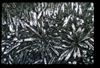 ap1504_01_14