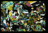 ap1504_02_07