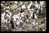 ap1504_02_11