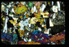 ap1504_02_12