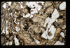 ap1504_02_16
