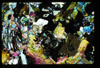 ap1504_02_17