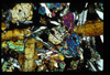 ap1504_02_18