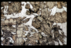 ap1504_02_19