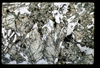 ap1504_02_20