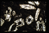 ap1504_03_03