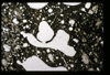 ap1504_03_12