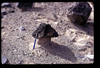 ap1504_04_03