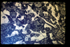 ap1504_04_06