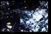 ap1505_01_11