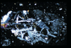 ap1505_01_17