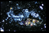 ap1505_02_02