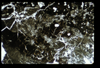 ap1505_02_09