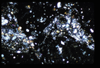 ap1505_02_17