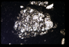 ap1505_02_19