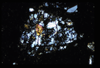 ap1505_02_20