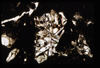 ap1505_03_01
