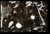 ap1505_03_03