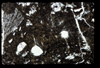 ap1505_03_08