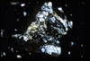 ap1505_03_15