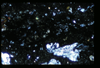 ap1505_03_20