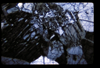 ap1505_05_08