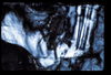 ap1505_05_17