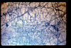 ap1505_06_11