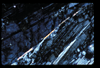 ap1505_06_19