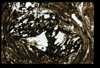 ap1601_04_09
